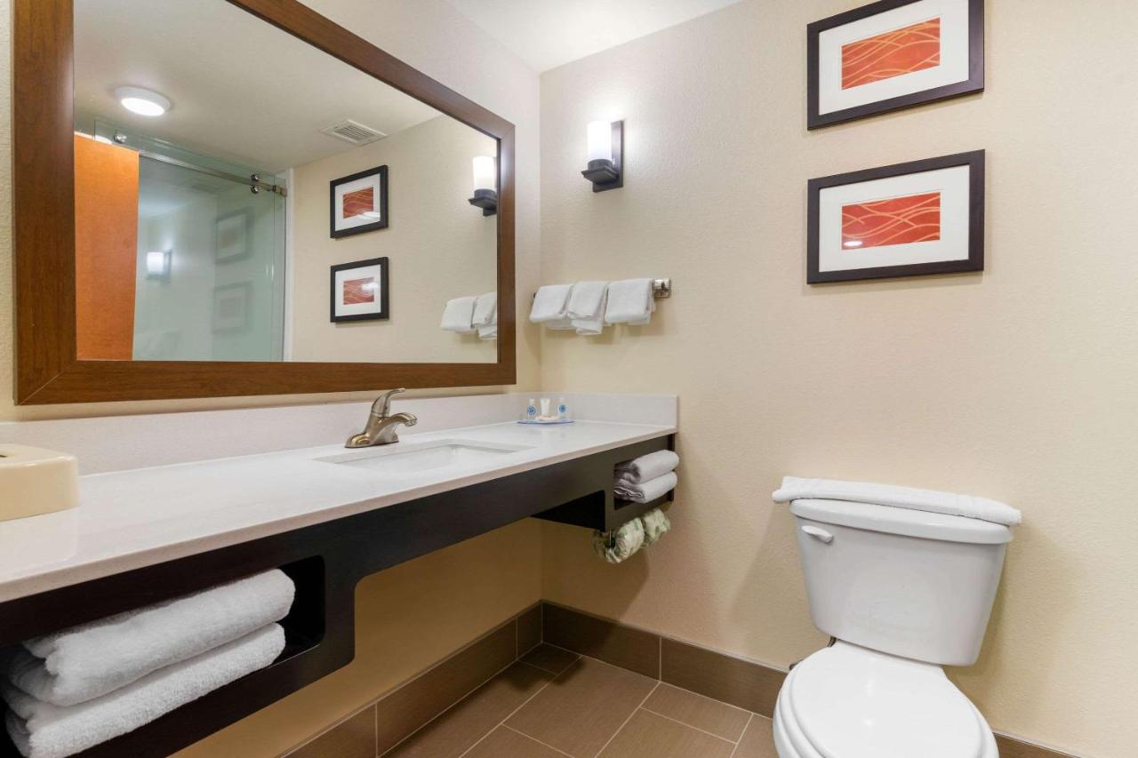 Standard King Room - Non-Smoking at Comfort Inn & Suites Macon West