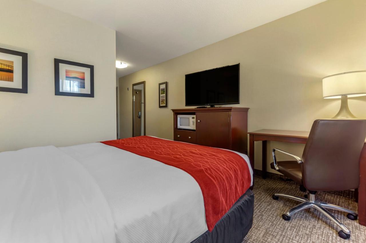 Queen Room - Accessible/Non-Smoking at Comfort Inn Kennewick Richland