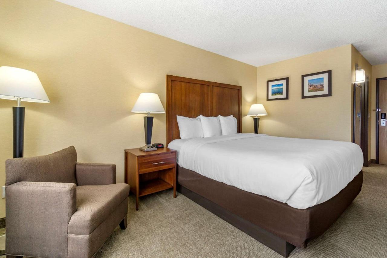 King Room - Non-Smoking at Comfort Inn & Suites Bothell - Seattle North