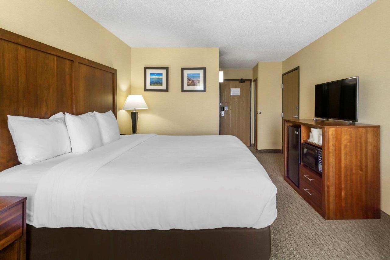 King Room - Non-Smoking at Comfort Inn & Suites Bothell - Seattle North