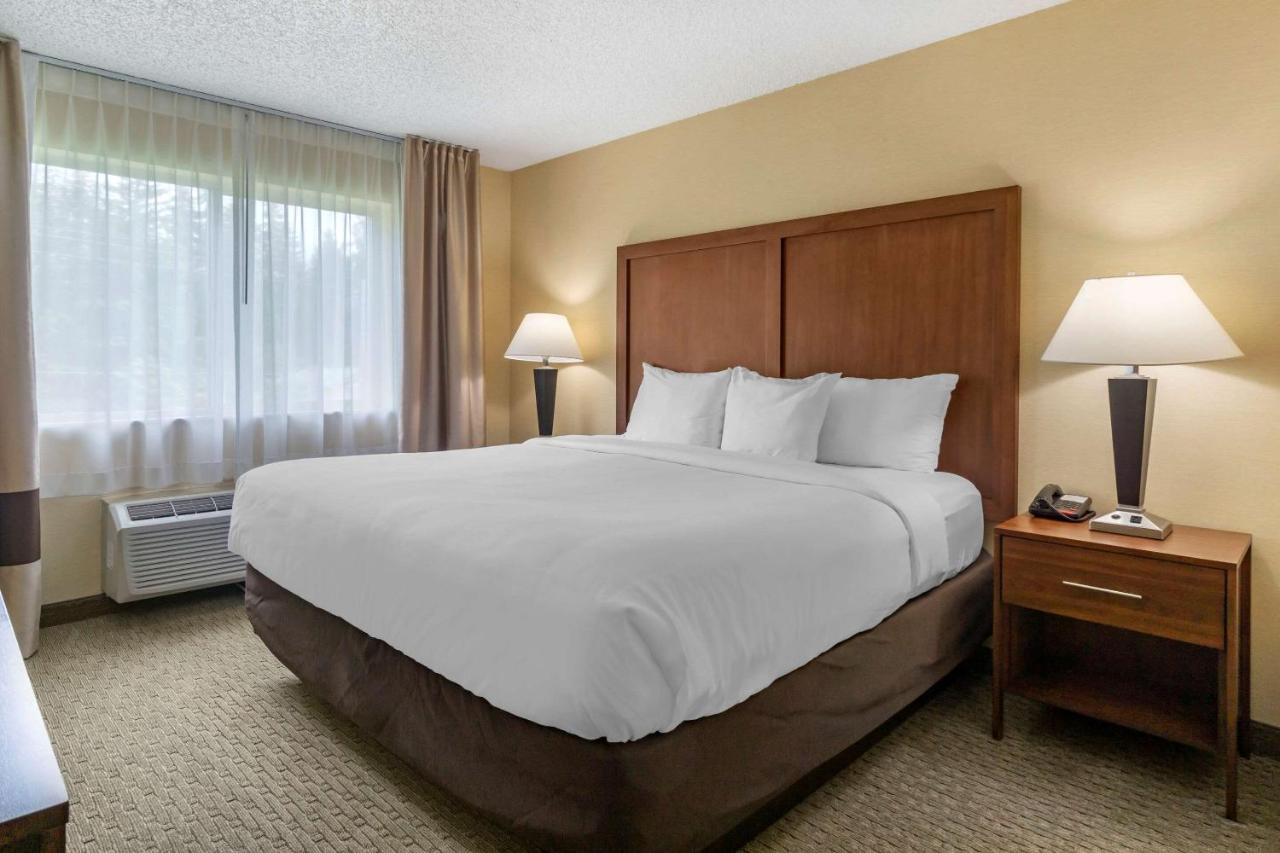 King Suite - Non-Smoking at Comfort Inn & Suites Bothell - Seattle North