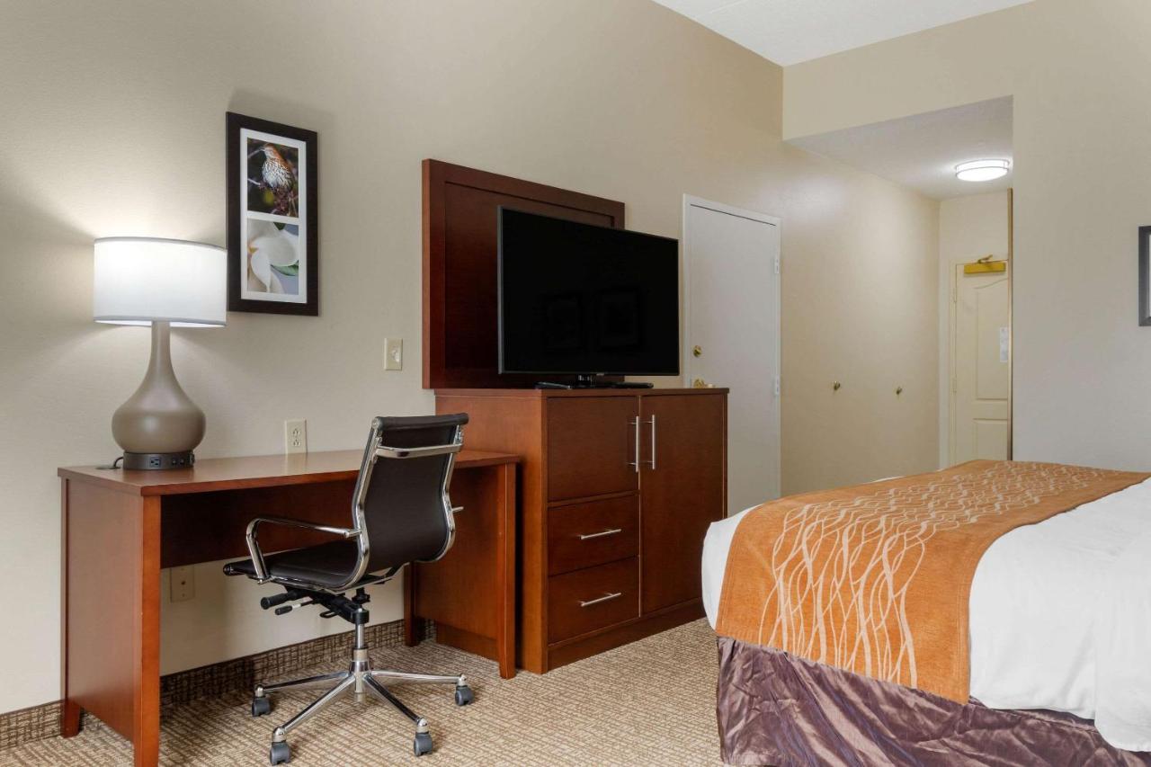 King Room - Non-Smoking at Comfort Inn & Suites Cordele
