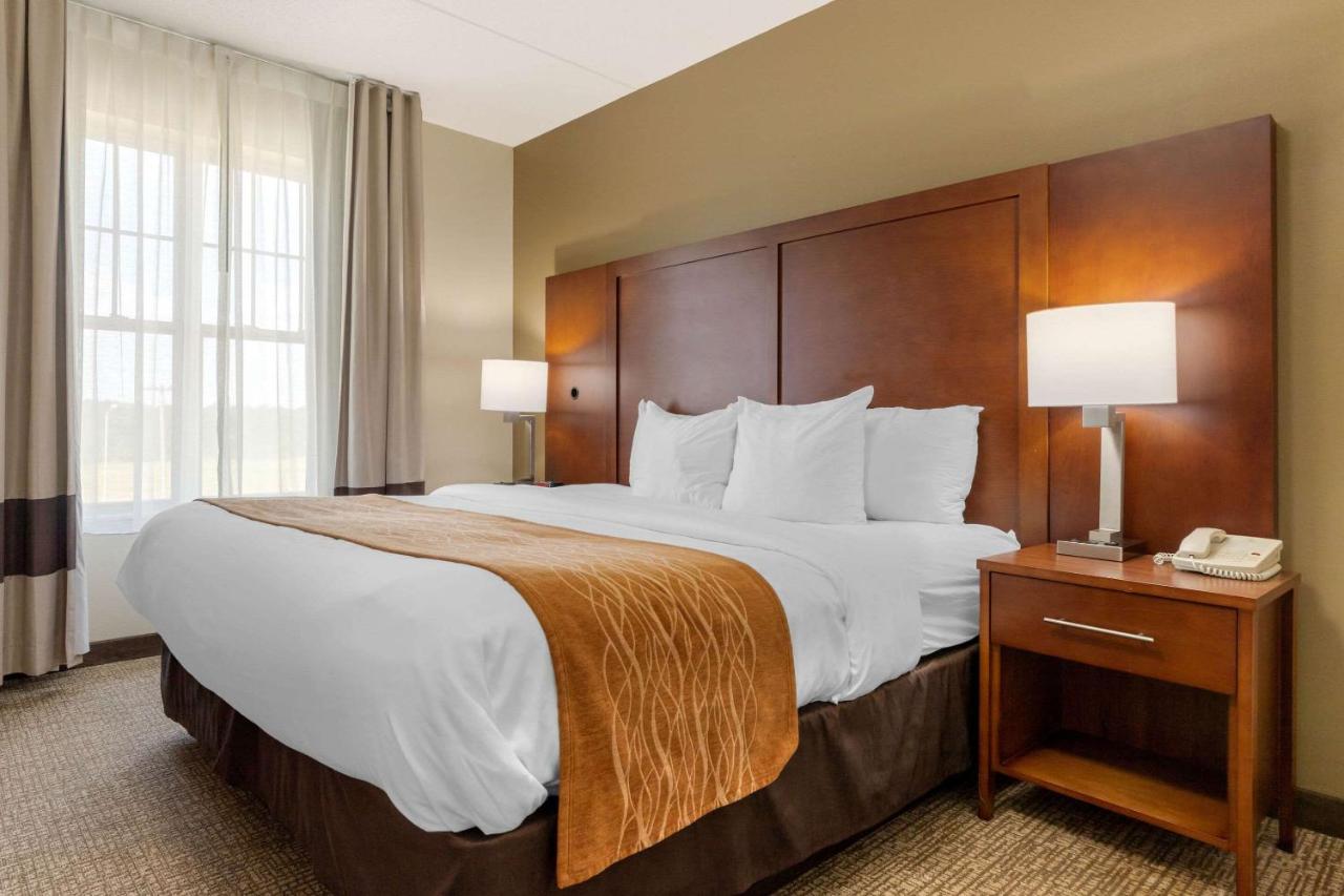 King Suite with Sofa Bed - Non-Smoking at Comfort Inn & Suites Cordele