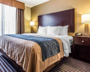 Room #45812006 at Comfort Inn & Suites Ballpark Area