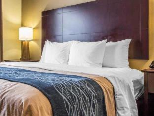 Room #45812006 at Comfort Inn & Suites Ballpark Area