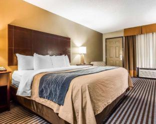 Room #45812007 at Comfort Inn & Suites Ballpark Area