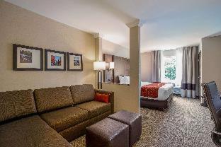 Room #359445716 at Comfort Suites Fishkill near Interstate 84