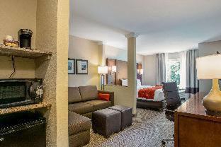 Room #359445716 at Comfort Suites Fishkill near Interstate 84