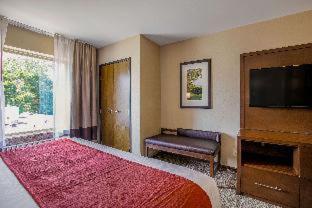 Room #359445716 at Comfort Suites Fishkill near Interstate 84