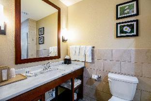 Room #359445722 at Comfort Suites Fishkill near Interstate 84