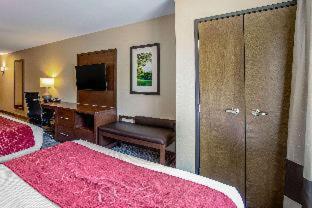 Room #359445722 at Comfort Suites Fishkill near Interstate 84