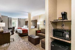 Room #359445722 at Comfort Suites Fishkill near Interstate 84