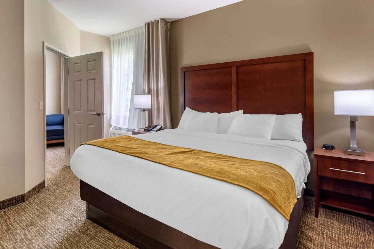 Superior King Suite - Non-Smoking at Comfort Suites Clarksville near Governors Square Mall