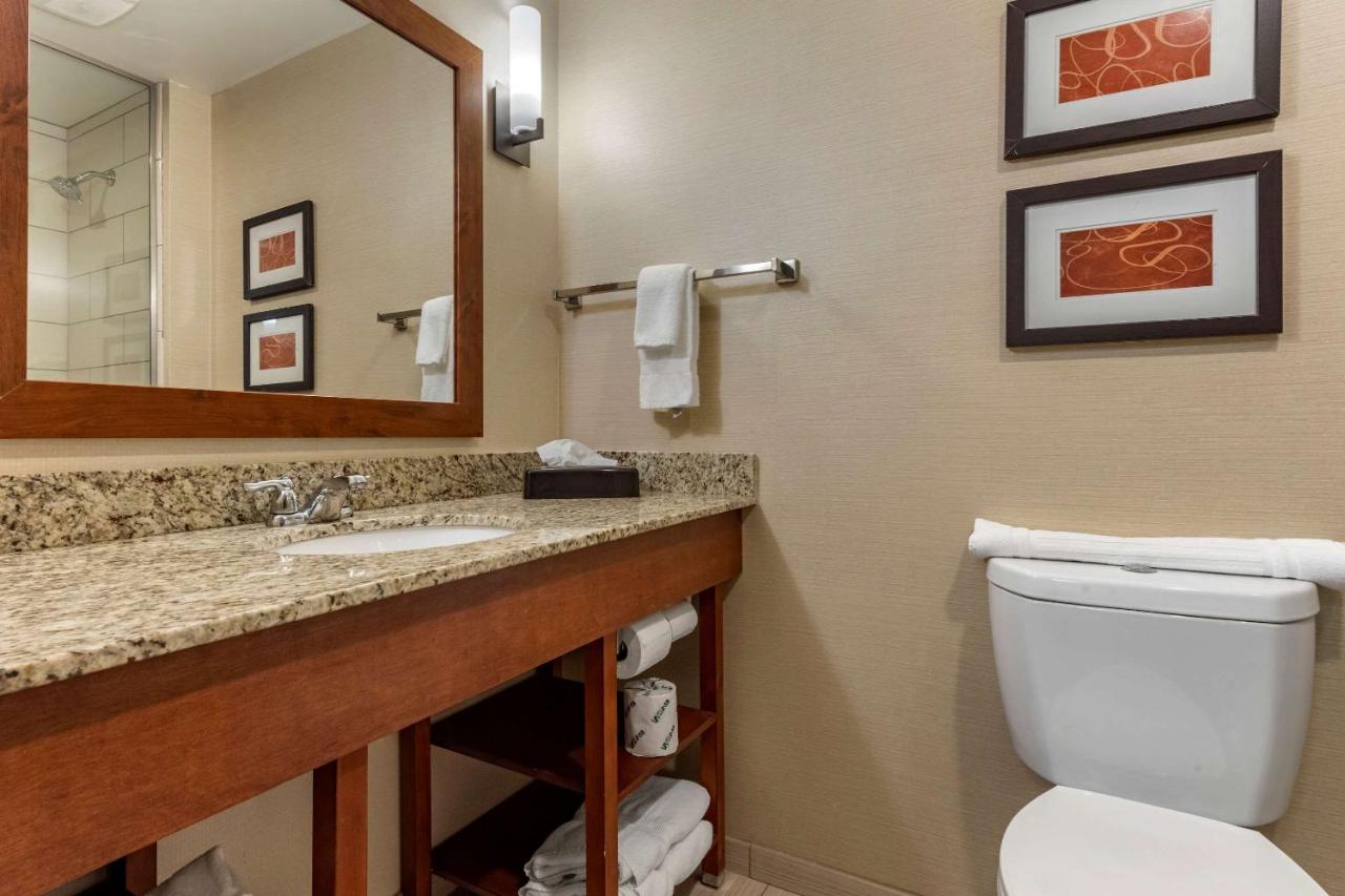 King Suite at Comfort Suites Bridgeport - Clarksburg