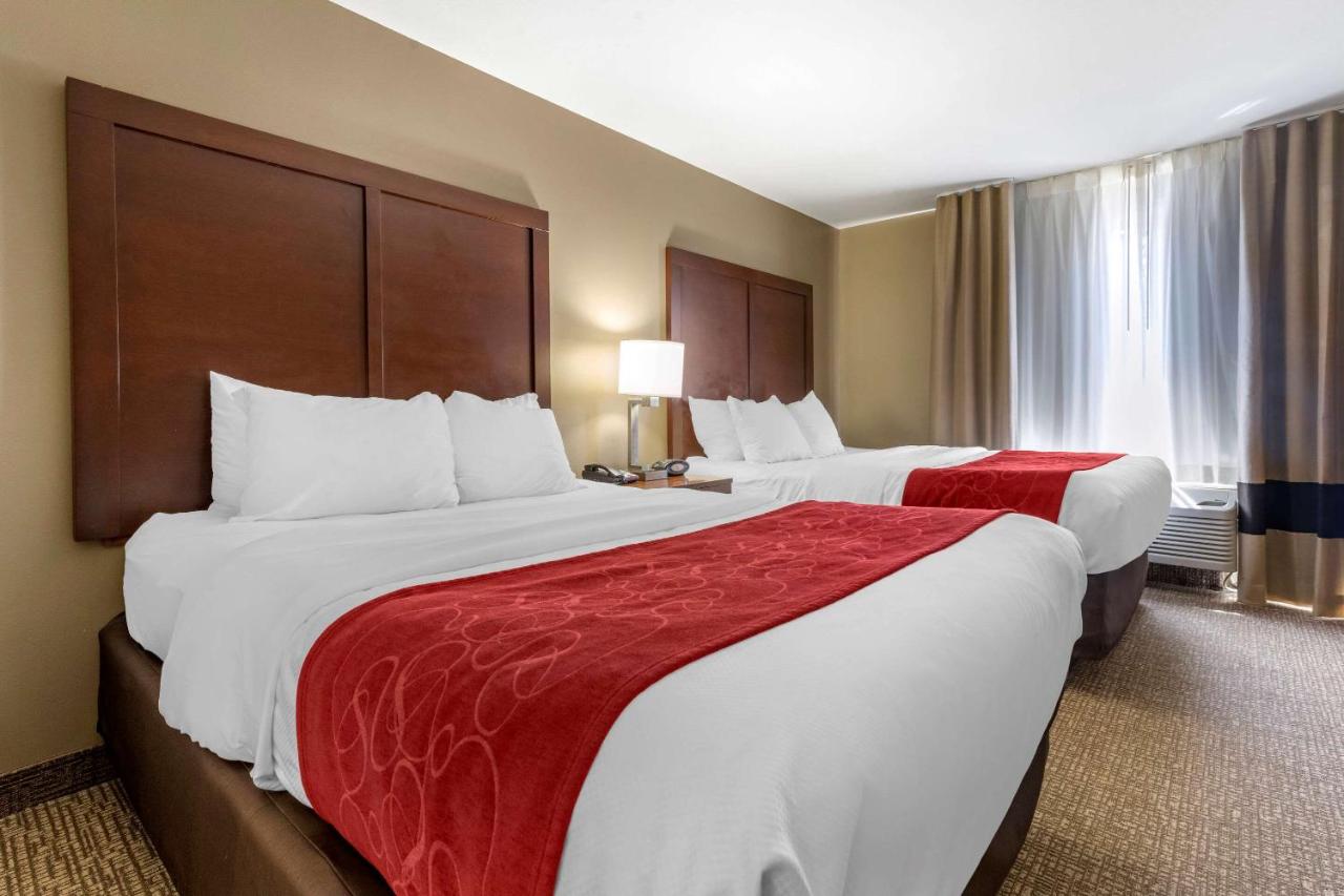 Queen Suite at Comfort Suites Bridgeport - Clarksburg
