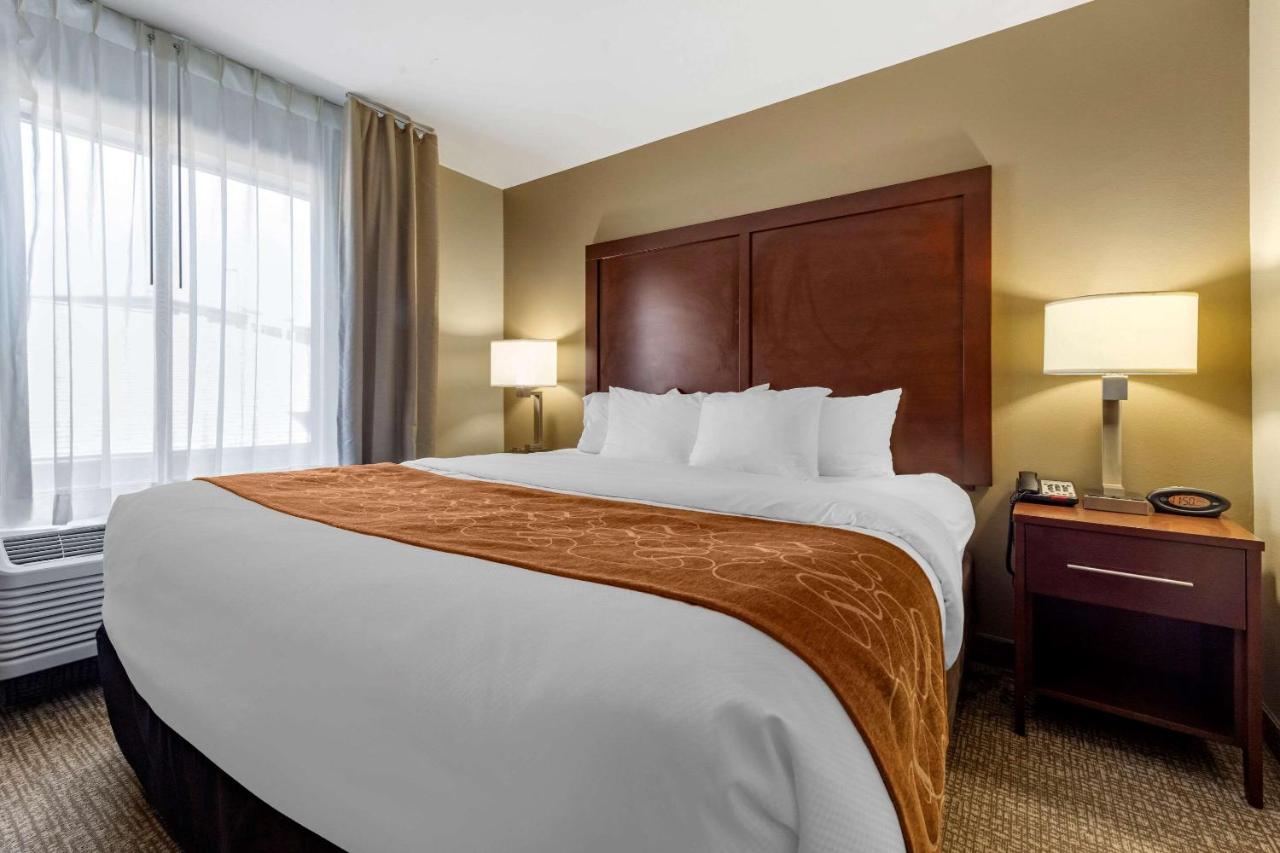 King Suite with Sofa Bed - Disability Access/Non-Smoking at Comfort Suites Bridgeport - Clarksburg