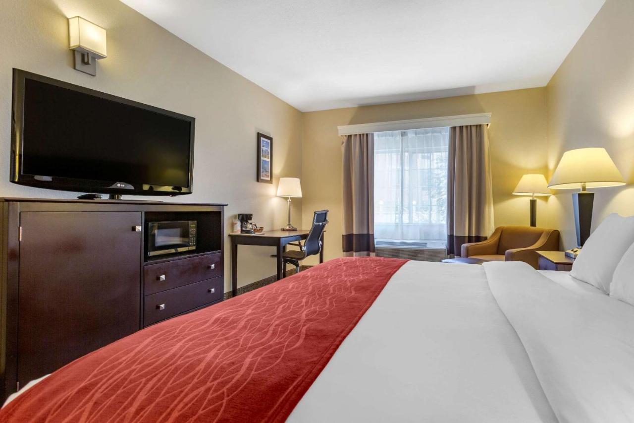  | Comfort Inn & Suites North Tucson - Marana
