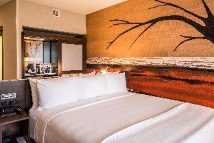 Room #213273810 at Cambria Hotel McAllen Convention Center