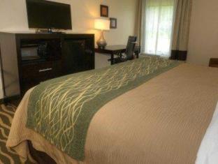 Room #49077111 at Comfort Inn Marion near Downtown & Blue Ridge PKWY