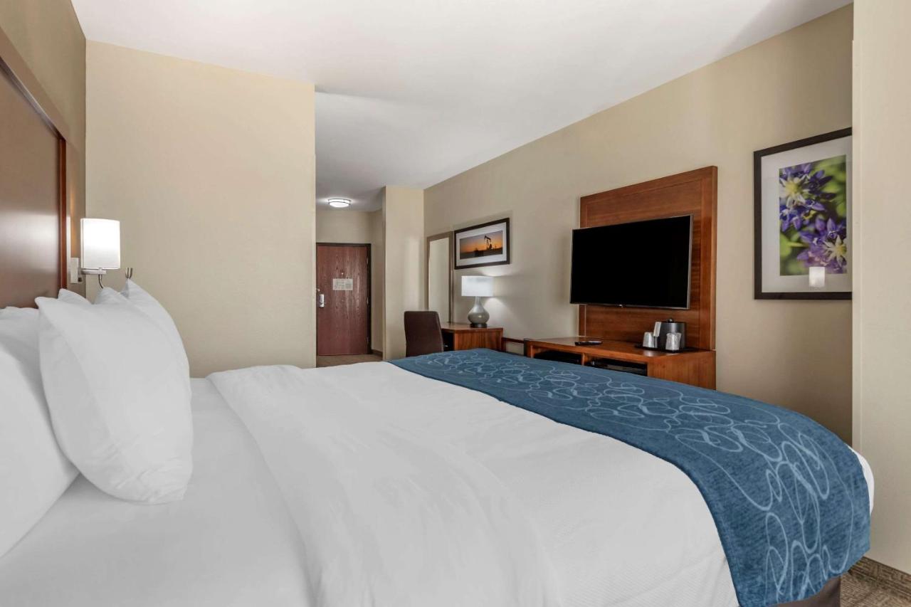 Efficiency King Suite - Accessible/Non-Smoking at Comfort Suites Buda - Austin South