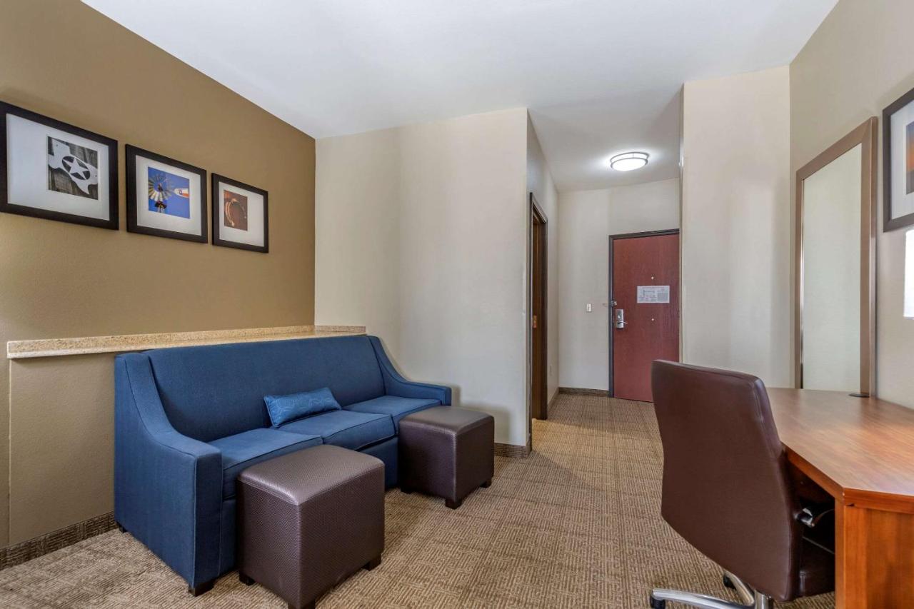 Efficiency King Suite - Accessible/Non-Smoking at Comfort Suites Buda - Austin South