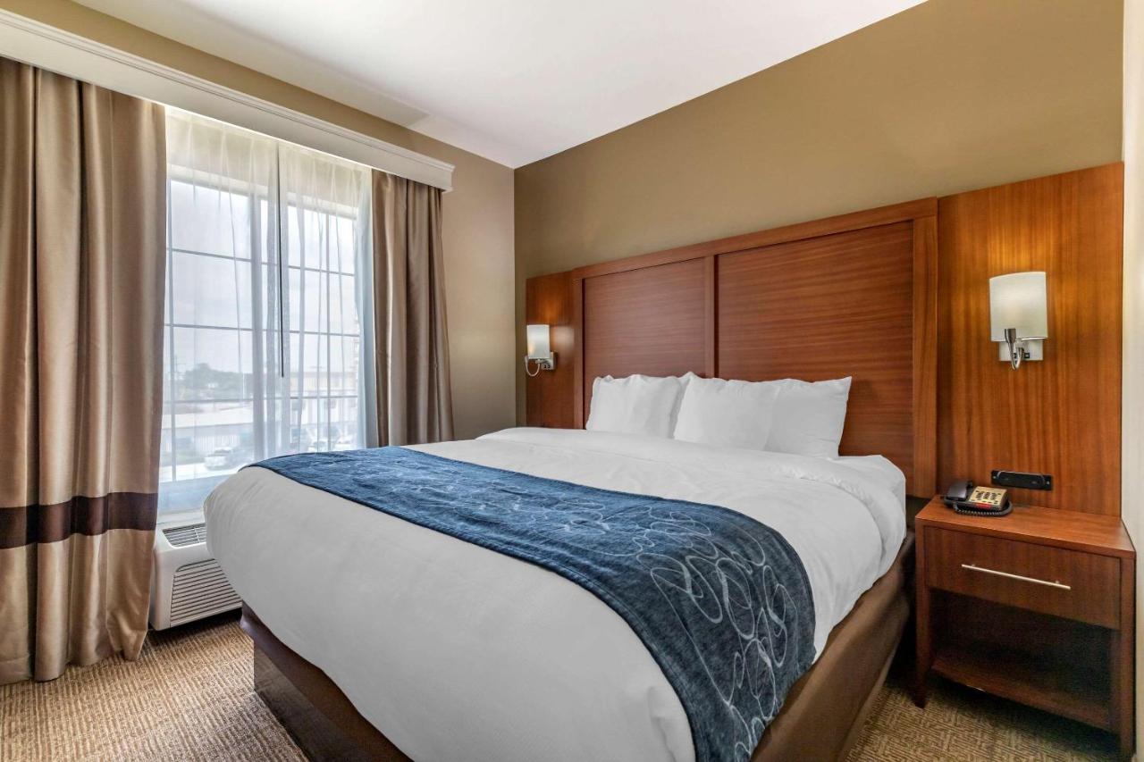 King Suite - Non-Smoking at Comfort Suites Buda - Austin South