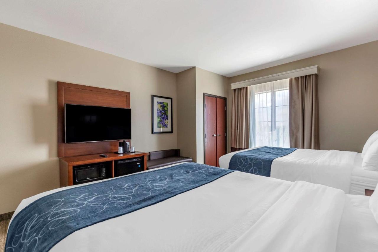 Queen Suite with Two Queen Beds - Non-Smoking at Comfort Suites Buda - Austin South