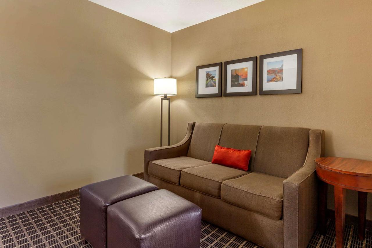 King Suite with Sofabed - Non-Smoking at Comfort Suites Delavan - Lake Geneva Area