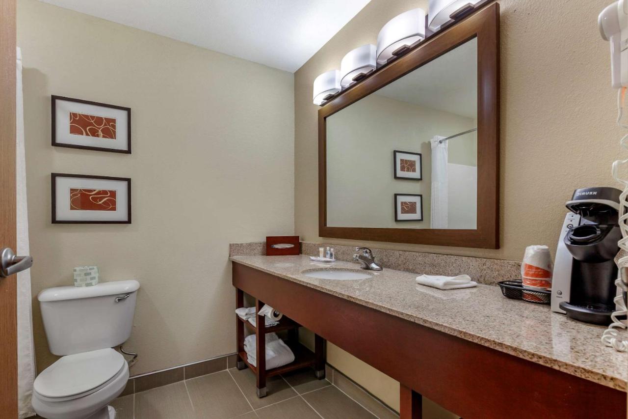 Superior King Suite with Sofabed- Non-Smoking at Comfort Suites Delavan - Lake Geneva Area