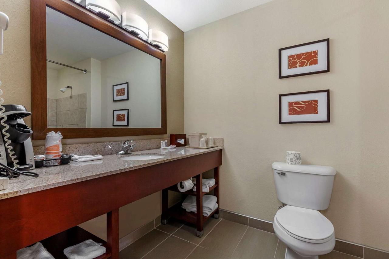 King Suite with Whirlpool-In Bath-Non-Smoking at Comfort Suites Delavan - Lake Geneva Area