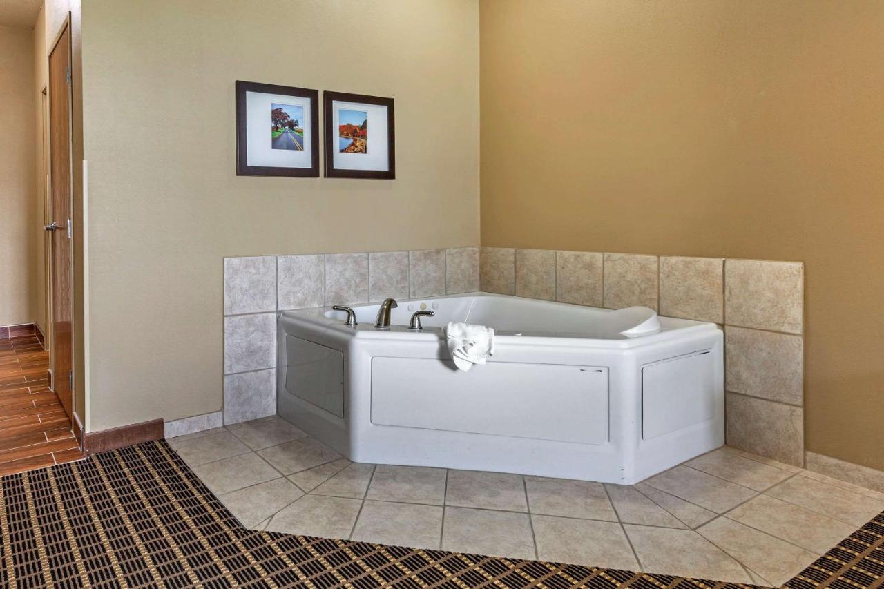 King Suite with Roll-In Shower - Accessible/Non-Smoking at Comfort Suites Delavan - Lake Geneva Area
