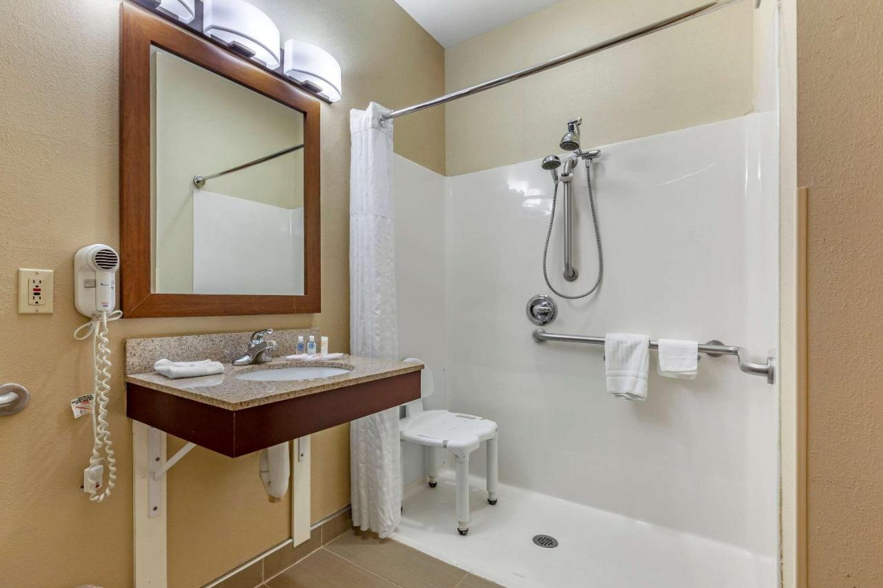 King Suite with Roll-In Shower - Accessible/Non-Smoking at Comfort Suites Delavan - Lake Geneva Area