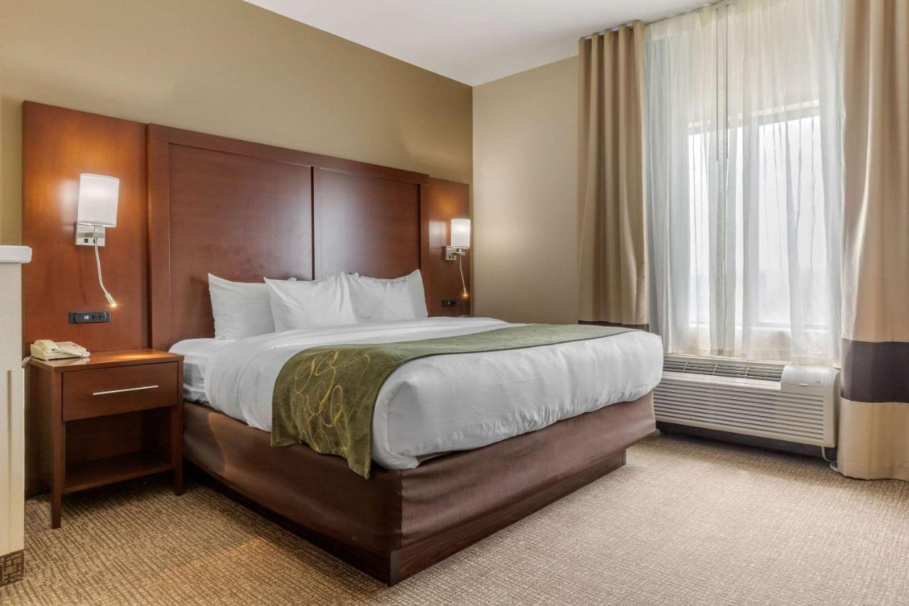 King Suite - Non-Smoking at Comfort Suites Johnson City near University
