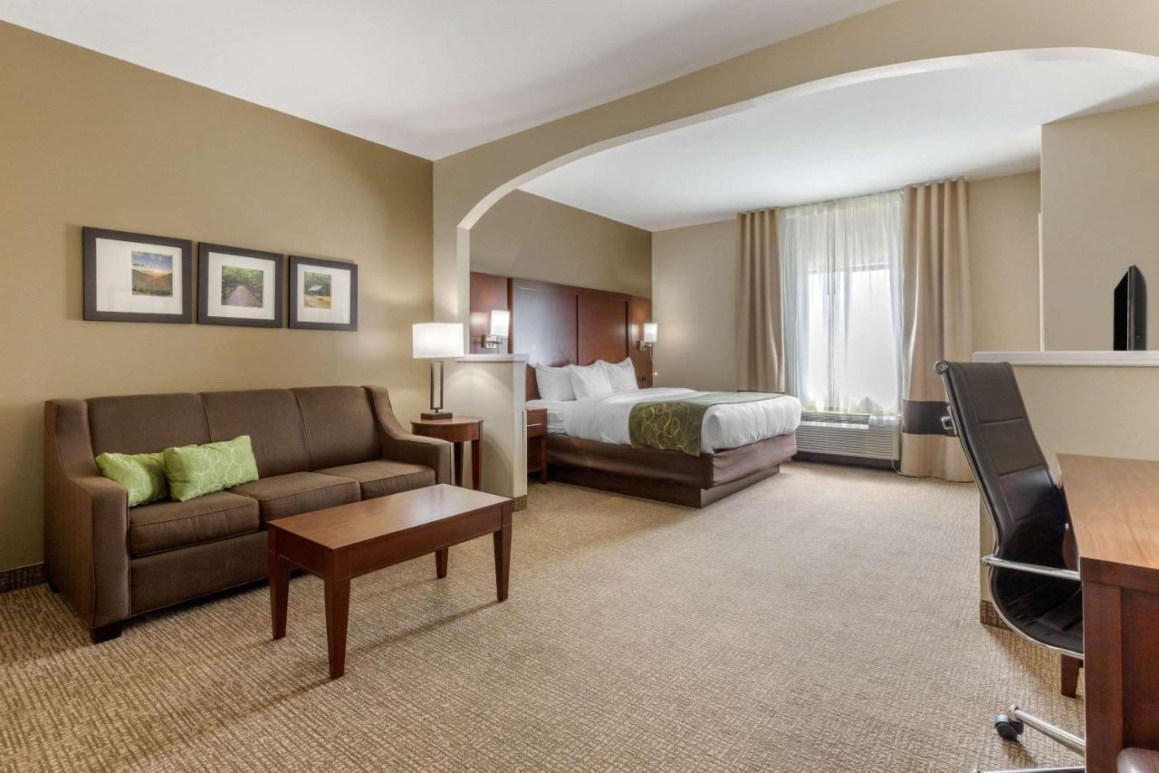 King Suite - Non-Smoking at Comfort Suites Johnson City near University