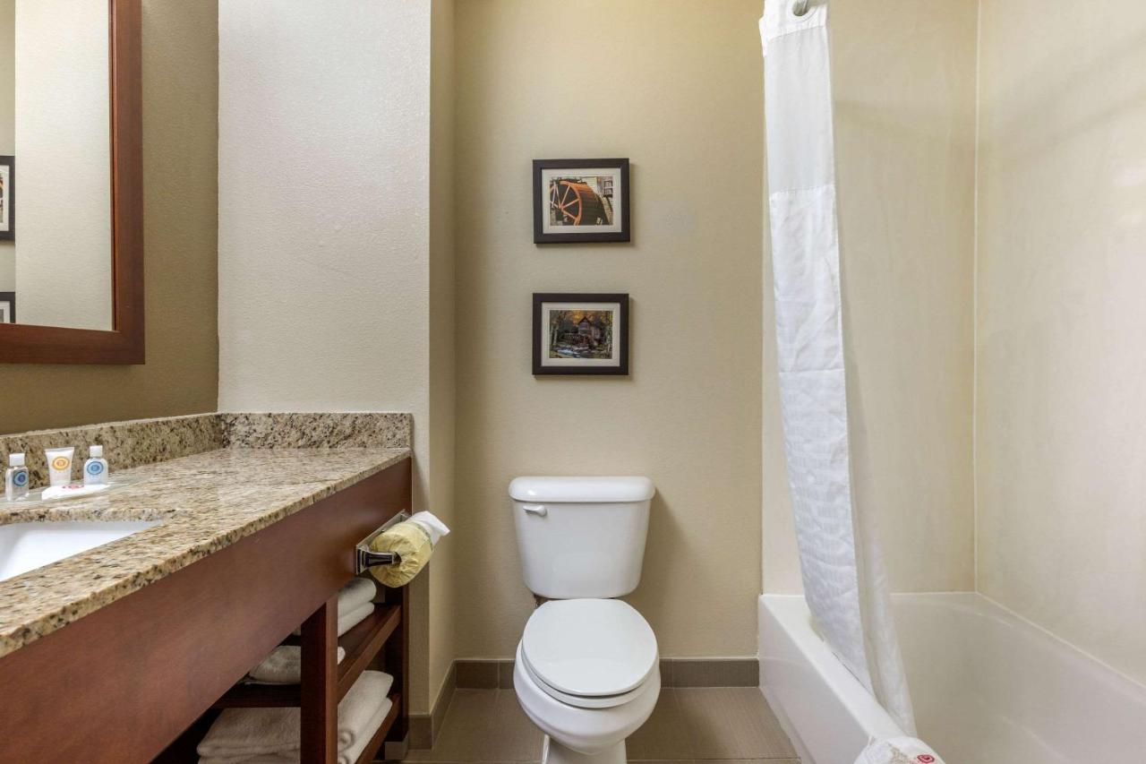 King Suite - Non-Smoking at Comfort Suites Johnson City near University
