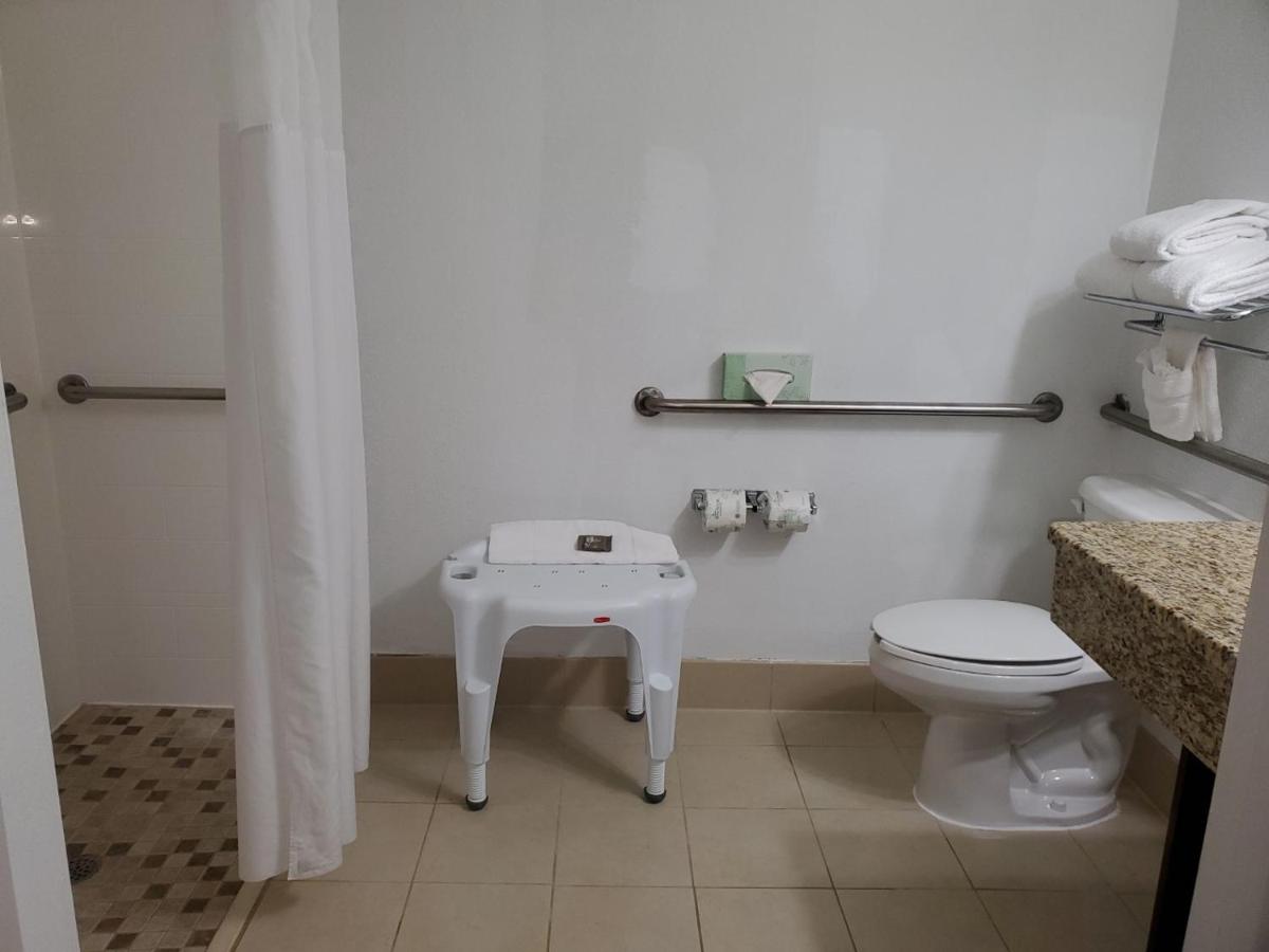 King Room with Roll In Shower - Disability Access/Non-Smoking at Country Inn & Suites by Radisson, Buford at Mall of Georgia, GA
