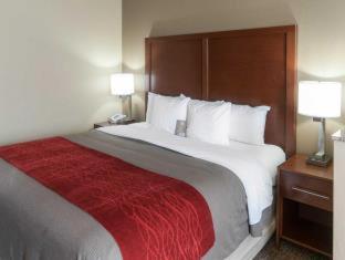 Room #48960506 at Comfort Inn & Suites LaGrange East