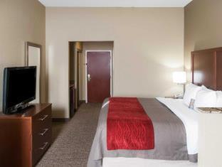 Room #48960506 at Comfort Inn & Suites LaGrange East