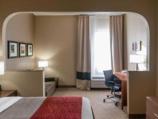 Room #48960506 at Comfort Inn & Suites LaGrange East