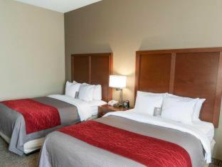 Room #48960507 at Comfort Inn & Suites LaGrange East