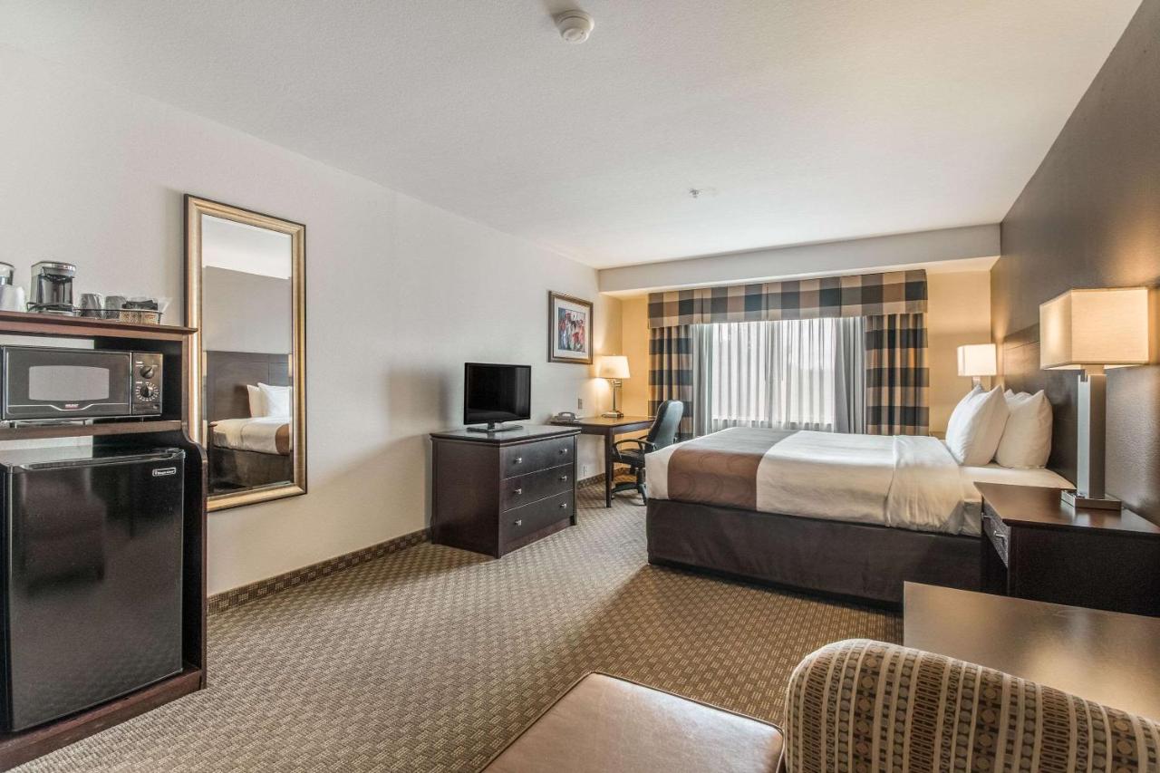 Standard King Room - Non-Smoking at Quality Inn