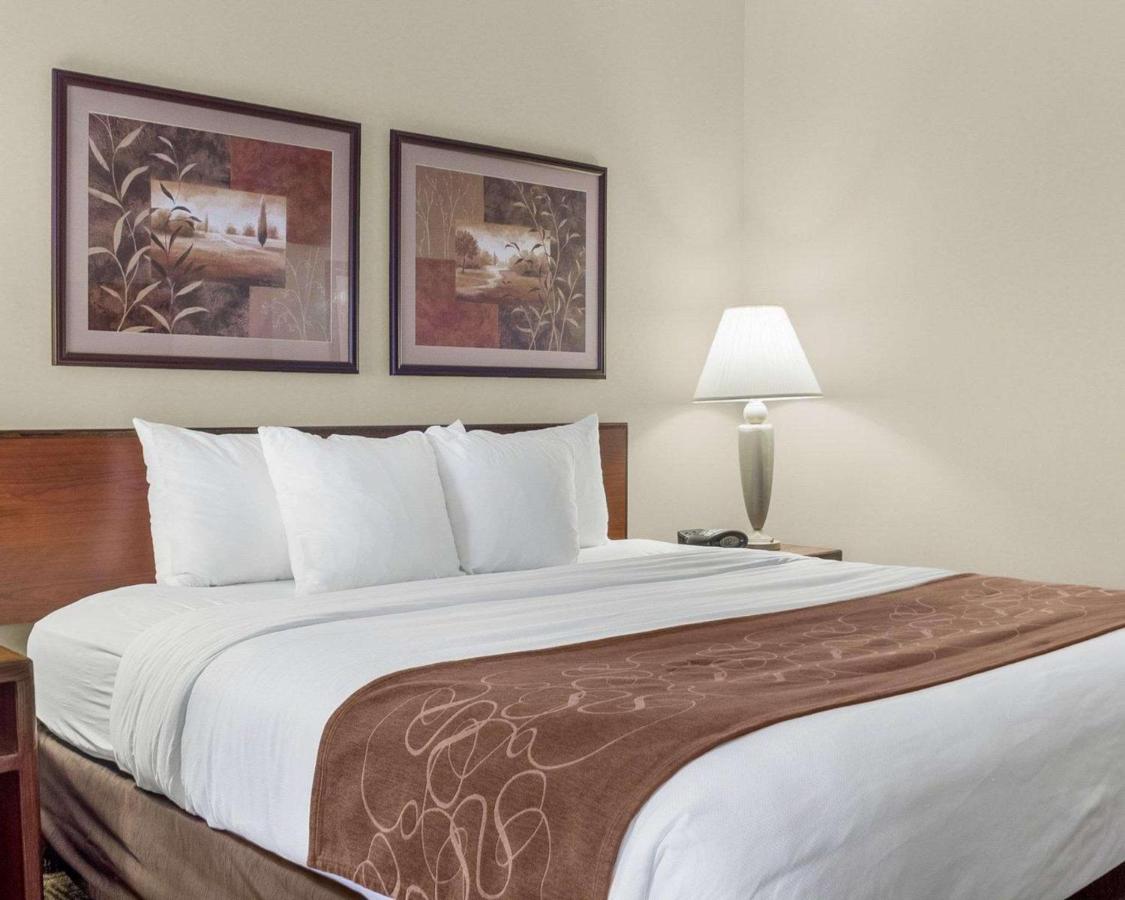 King Room with Roll-In Shower - Accessible/Non-Smoking at Comfort Inn Bismarck