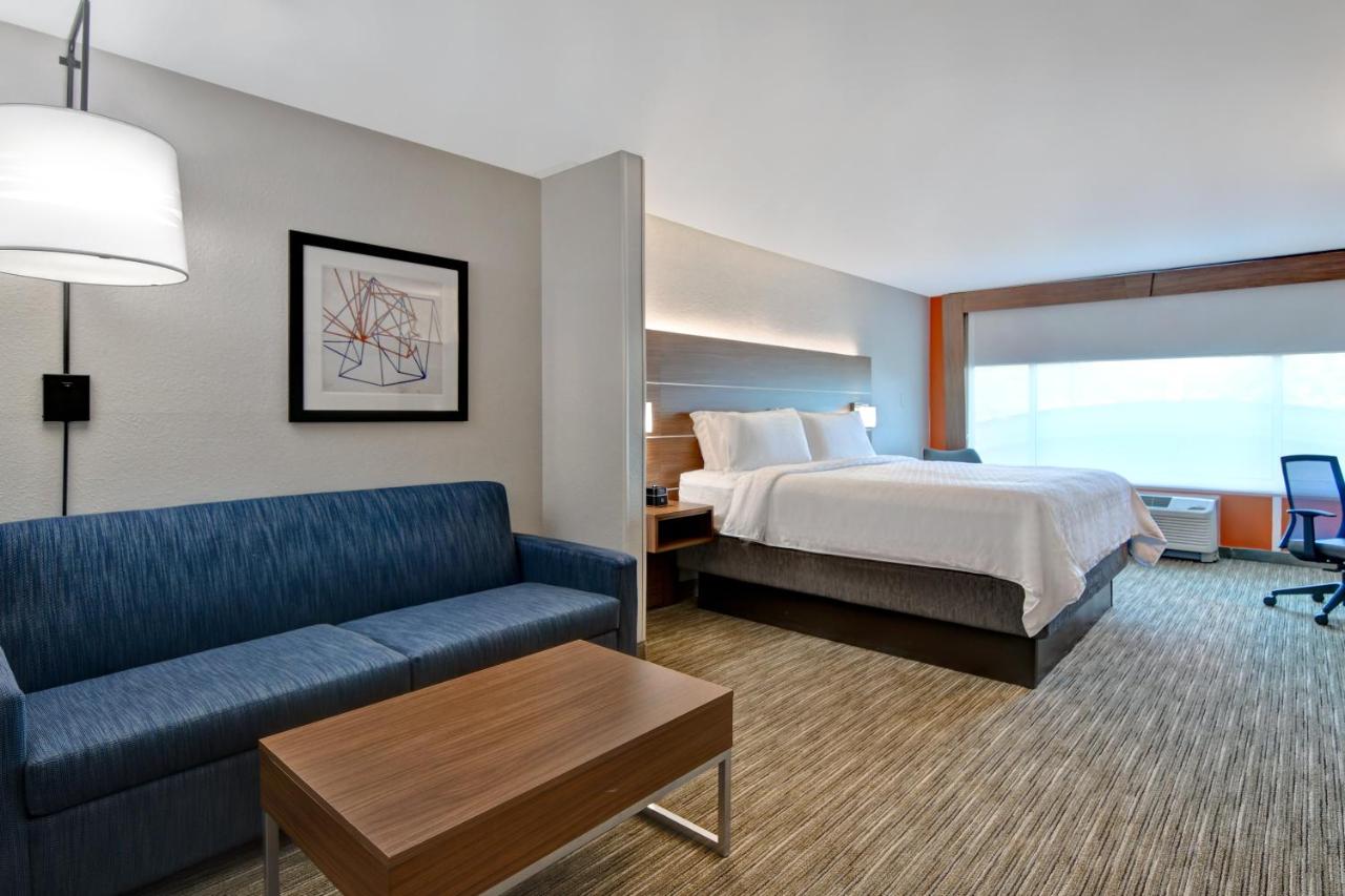 Deluxe King Suite at Holiday Inn Express Hotel & Suites Anderson-I-85 by IHG