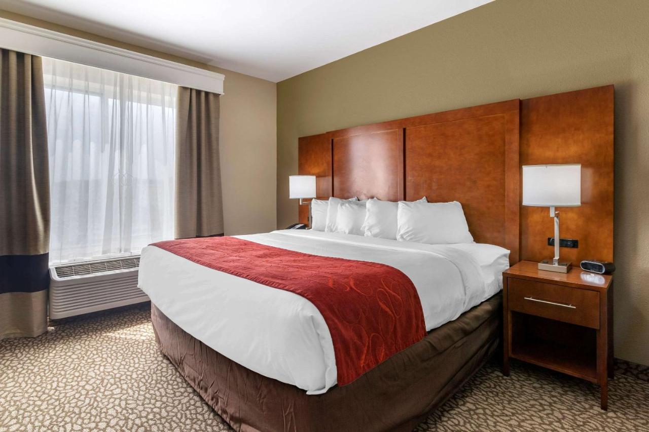 King Suite with Accessible Tub - Accessible/Non-Smoking at Comfort Suites Florence I-95