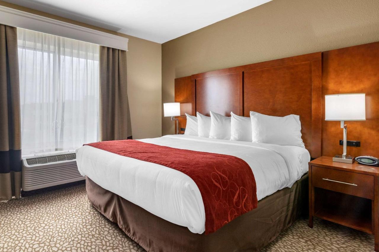 King Suite with Roll-In Shower - Accessible/Non-Smoking at Comfort Suites Florence I-95