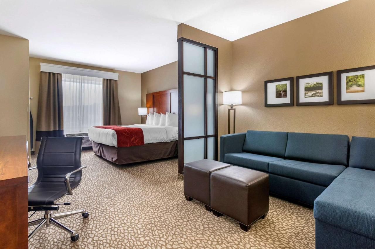 King Suite with Roll-In Shower - Accessible/Non-Smoking at Comfort Suites Florence I-95