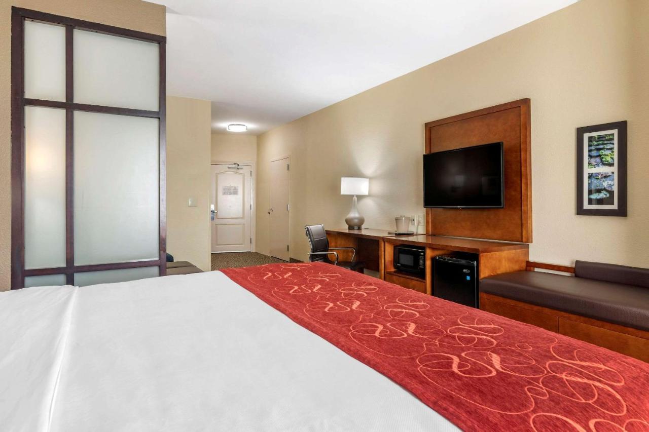 King Suite with Roll-In Shower - Accessible/Non-Smoking at Comfort Suites Florence I-95