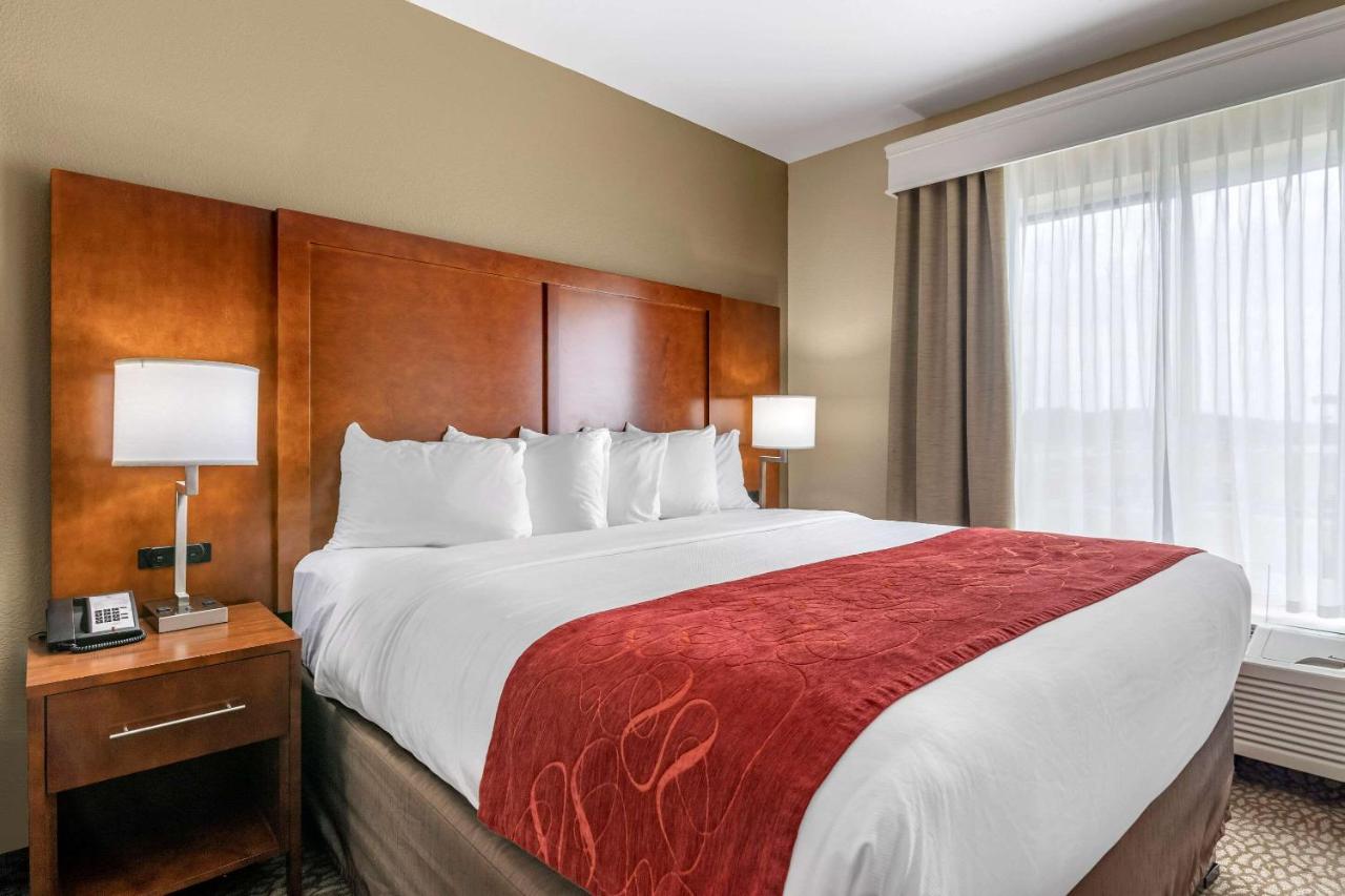 King Suite with Sofa Bed at Comfort Suites Florence I-95