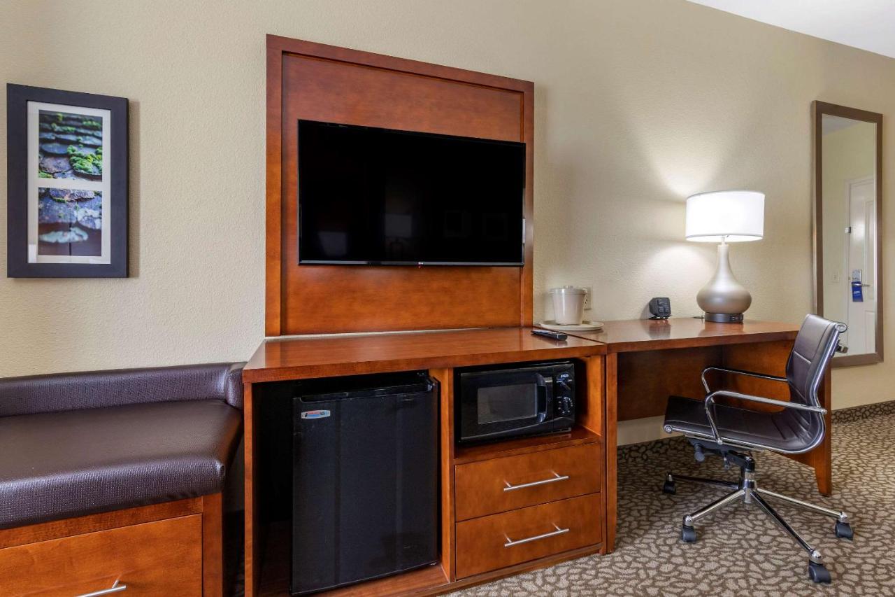 King Suite with Sofa Bed at Comfort Suites Florence I-95