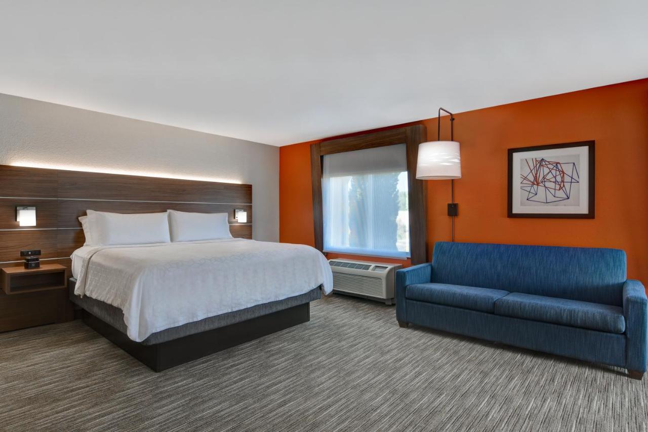 Deluxe King Suite at Holiday Inn Express Hotel & Suites Anderson-I-85 by IHG